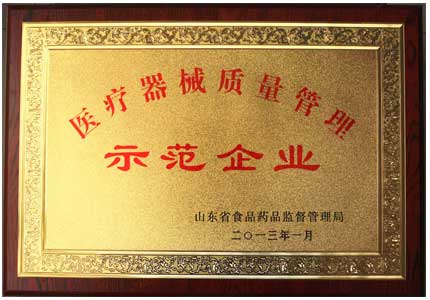 山东91免费片版下载91免费看视频软件网站厂家医疗器械质量管理示范企业荣誉证书