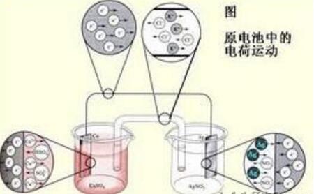 91免费看视频软件网站