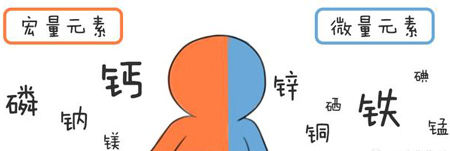 全自动91免费看视频软件网站帮助身体维持健康