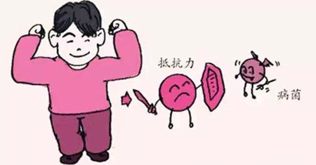解析全自动91免费看视频下载发展的重要意义