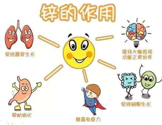 【全自动91免费看视频软件网站】厂家91免费片版下载分析哪些儿童容易发生体内锌缺乏？