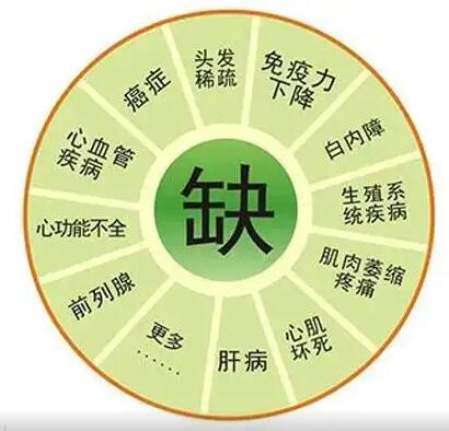 医用91免费看视频软件网站
